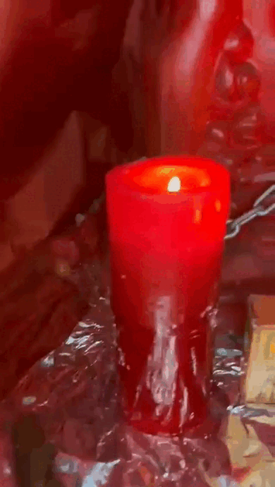 GIF animado